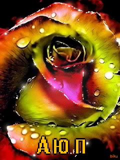 ��������: ���